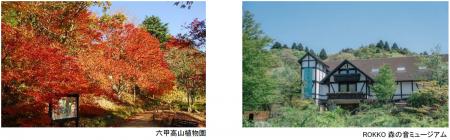 六甲高山植物園 ROKKO森の音ミュージアム文化のutf-8
