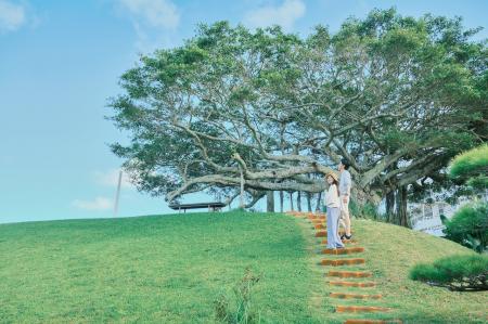 秋の沖縄で、暮らすように旅する。「2026秋旅SALutf-8