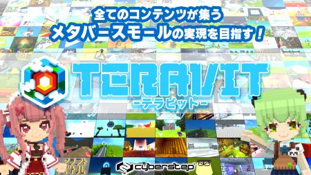 みんなが作って遊ぶサンドボックス『テラビット』は、