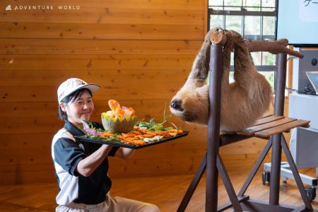 ２歳のお誕生日おめでとう！フタユビナマケモノのこど