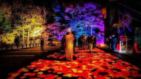 【北海道／層雲峡】夜は紅葉が灯りに染まる――日本一早