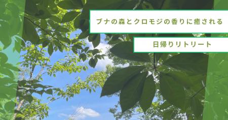 【山形・小国町】ブナの森とクロモジの香りに癒される