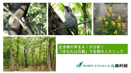 【相模原市】生き物の声をAIが分析！「木もれびの森」