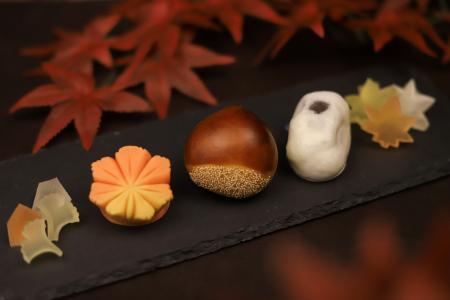 栗饅頭や紅葉を表現した上生菓子など、秋の和菓子を味 栗饅頭や紅葉を表現した上生菓子など、秋の和菓子を味