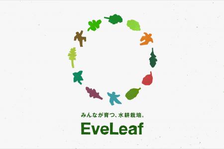 【8月31日・野菜の日】アンドエスティHDの特例子会社W