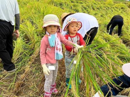 秋田県横手と湯沢で米とリンゴの収穫体験　実りの産地