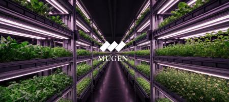 次世代の植物工場で、未来の農業を守る。株式会社KIBO