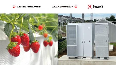 JALグループの農園に「PowerX Cube」　夏いちごの収穫