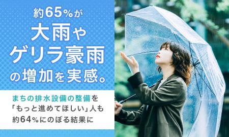 約65%が