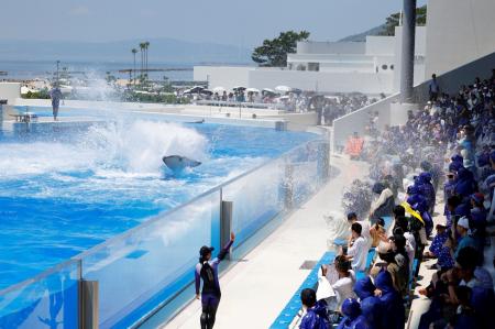 【神戸須磨シーワールド】９月の残暑を吹き飛ばそう！
