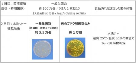 【日本製紙クレシア 日常使いのふきんの「菌の生き残 【日本製紙クレシア 日常使いのふきんの「菌の生き残