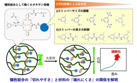 「壊れやすさ」を設計して、壊れにくいエラストマーへ