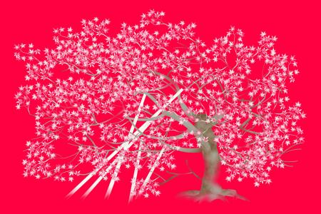 京都・東本願寺 大玄関で宇野千代ゆかりの “淡墨桜” 