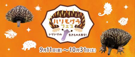 カワスイに珍獣!?新展示「ハリモグラ」とトゲトゲの生