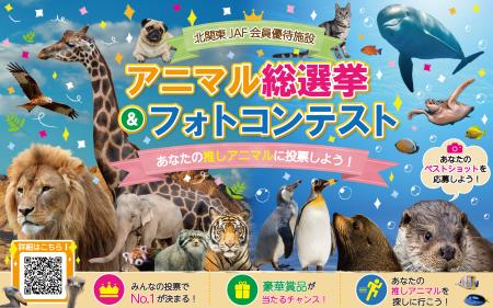 【JAF栃木】北関東No.1の推し動物は誰だ！？かわいい