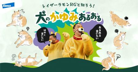 犬になったレイザーラモンRGさんの犬のあるある動画も