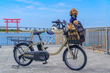 愛犬と一緒に浜名湖をサイクリング！弁天島サイutf-8