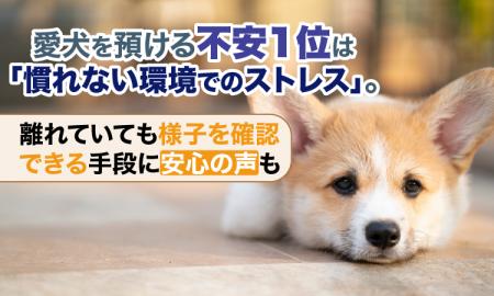 愛犬を預ける不安1位は「慣れない環境でのストレス」