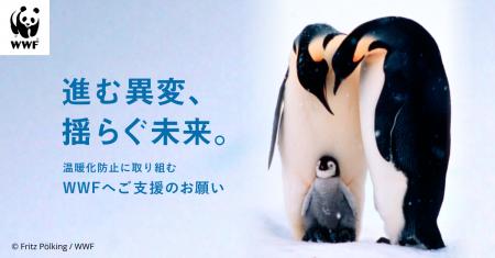 コウテイペンギンまでもが絶滅危惧種に　WWFジャパン