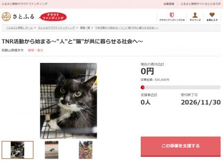 和歌山県橋本市とさとふる、TNR活動を推進し“人と猫が