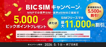【BIC SIM】ビックカメラグループ店舗限定でスマート