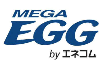 「メガ・エッグ 光10ギガ」における料金改定について