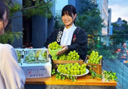 【OMO5熊本】熊本市と連携し、被災した物産館の宇城市