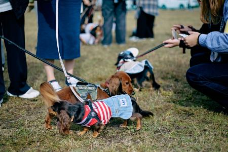 初参加者の92%が満足と回答。「同犬種コミュニティ」