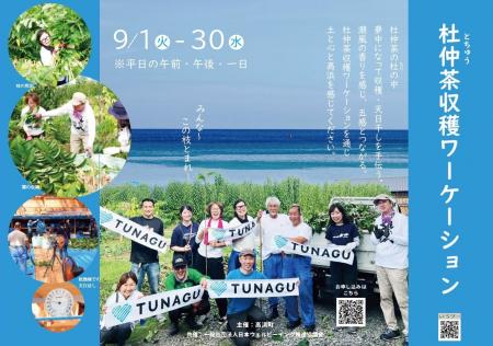 日本有数の杜仲茶の産地・福井県高浜町で一次産業ワー