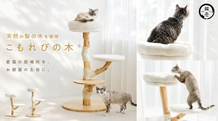 天然木の表情を楽しむ
”愛猫専用の世界に1つだutf-8