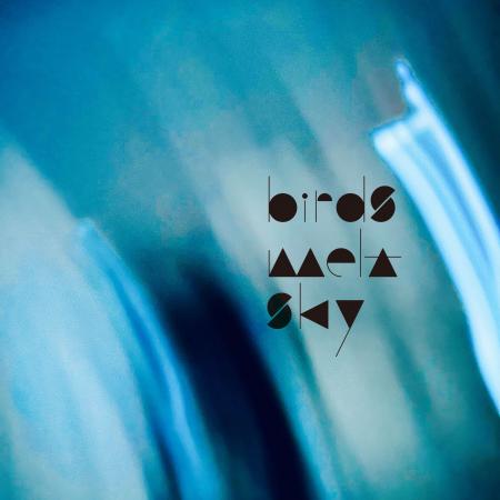 浮遊するグルーヴと残響を描いたbirds melt skyの新た