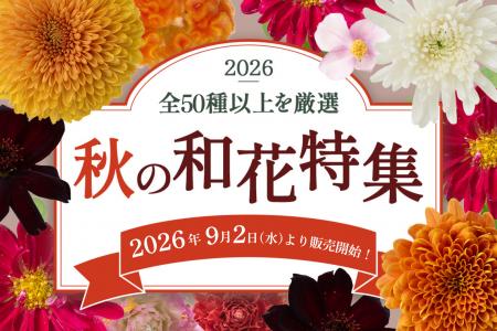 秋の和花が9月2日～販売開始！メインからサブまで全50