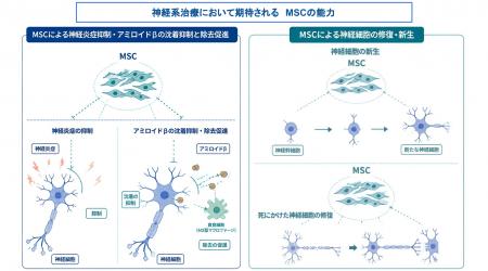 DC-BIOTECH 株式会社と東京大学大学院医学系研究科 免 DC-BIOTECH 株式会社と東京大学大学院医学系研究科 免