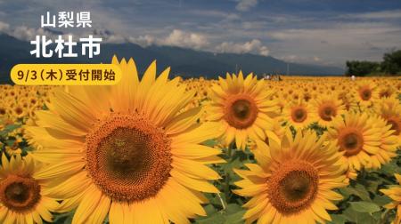 「ファミマふるさと納税」に新たに山梨県北杜市が参画