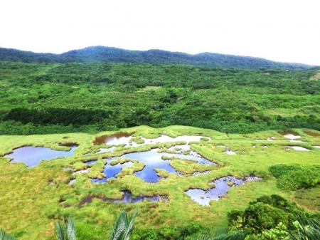 WWFジャパン、与那国島で生物多様性保全プロジェクト