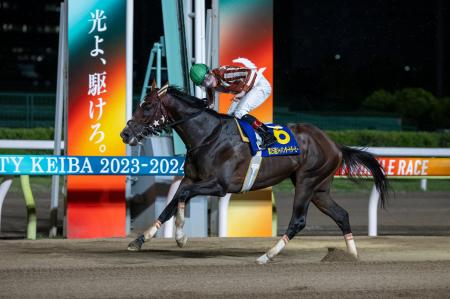 南関東クラシック最後の無敗三冠馬、ミックファイア引 南関東クラシック最後の無敗三冠馬、ミックファイア引
