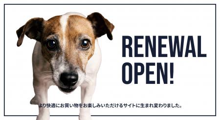 《POCHI》より快適に楽しめるサイトに。POCHIサイトを