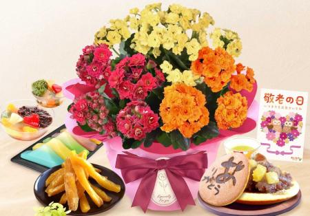 9月の残暑で変わる「敬老の日の花選び」、人気のカラ