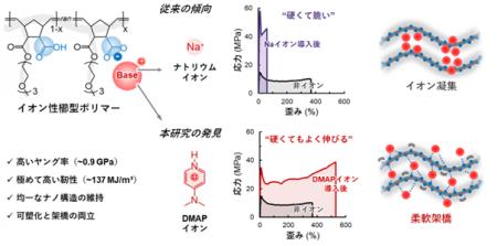 「硬くて脆い」プラスチックを「強くしなやか」に ～