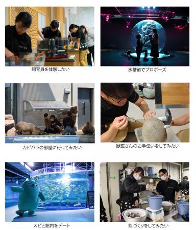 【5周年記念企画】水族館で叶えたい夢を大募集！