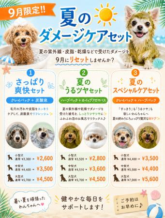 【西大井店】9月限定!!️夏のダメージケアセット