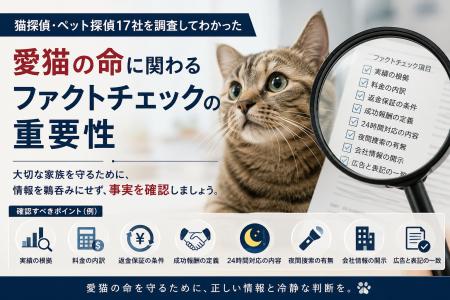 猫探偵・ペット探偵17社を調査してわかった、愛猫の命