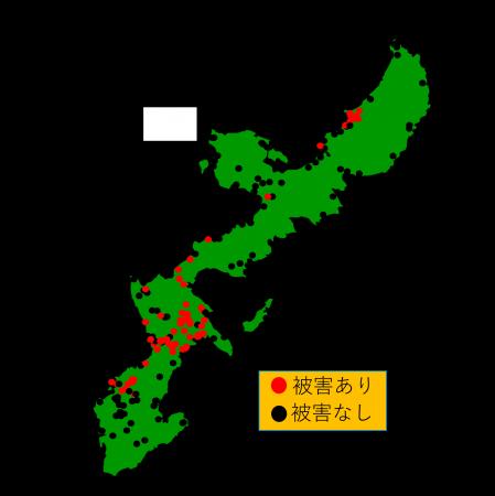 【（一財）沖縄美ら島財団】ソテツシロカイガラムシの
