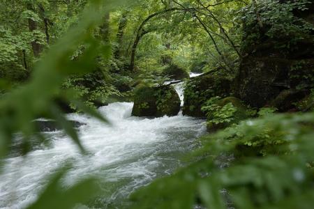奥入瀬渓流全体が「天然の自然博物館」に！9月7日より