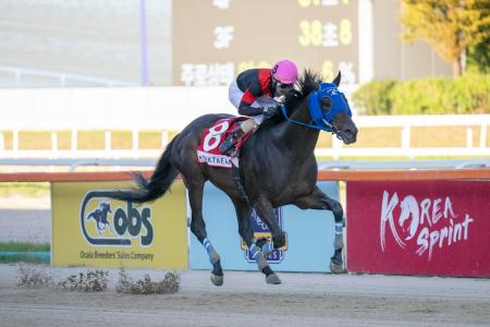 ディクテオンが見事に連覇、昨年に続く快挙達成！コリ