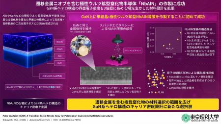 遷移金属ニオブを含む極性ウルツ鉱型窒化物半導体「Nb 遷移金属ニオブを含む極性ウルツ鉱型窒化物半導体「Nb