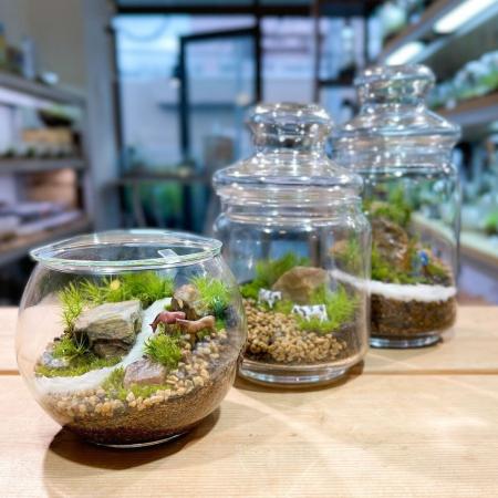 株式会社moegi、株式会社Feel The Gardenとフランチャ