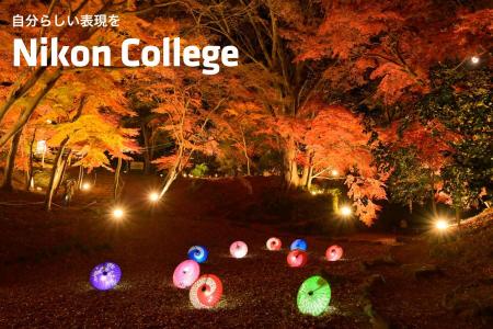 写真教室「ニコン カレッジ」 2026年10月～12月期の講