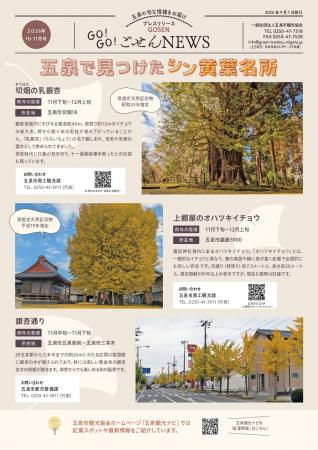 幹周り12mの