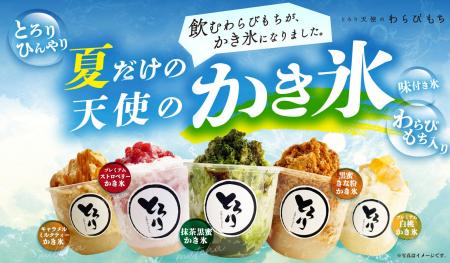 【夏の新定番】大人気